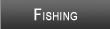 St. Johns River Fishing